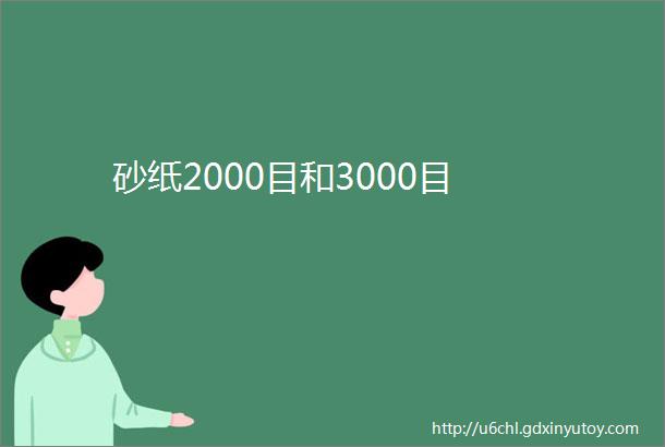 砂纸2000目和3000目