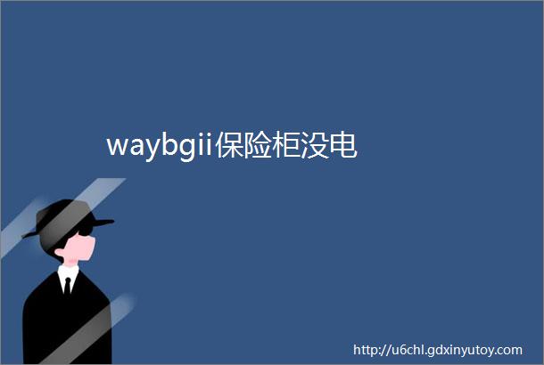 waybgii保险柜没电